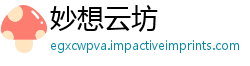 妙想云坊